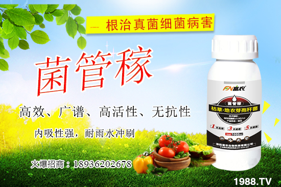 ���䝢��Σ����ʲô�����䝢�������Ά�������ˎ������Щ��