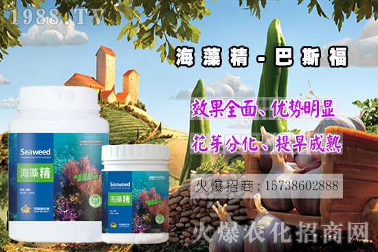  ߀���˽⺣�徫��ɶ����������out�ˣ����徫�����ж����