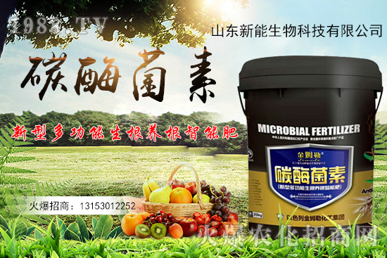 һ�ʶ������ЙC̼+����ø+�����+�I�B(y��ng)Ԫ����̼ø������ʲô������