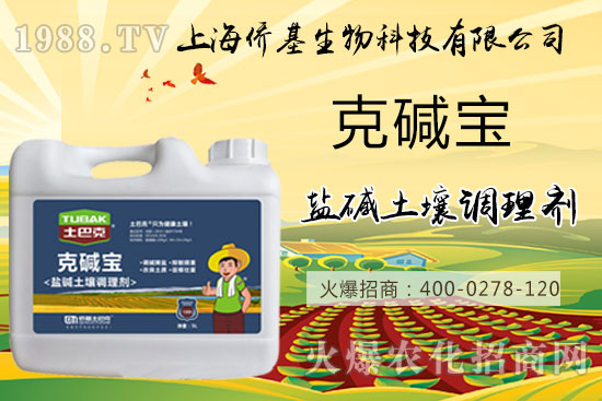 �����}�AΣ���󣬡��ˉA���������}�A��߀��һƬ������