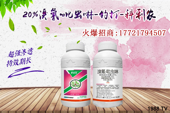 �������x���l(f��)̫���������x��ô��Ч���ã����x���η�������Щ��