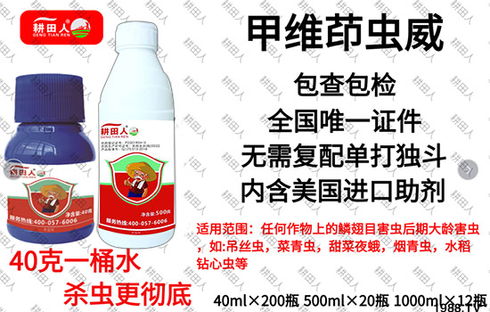 ����Ʒ�r(n��ng)ˎ�������¼Z�}(c��ng)����(r��n)��������ô�������x(ch��ng)���a(ch��n)Ʒ����Щ��