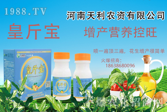  ����ʩ�ʳ�Ҋ���}����Щ���������Ҏ(gu��)�ɼ�ʩ�ʷ����v����