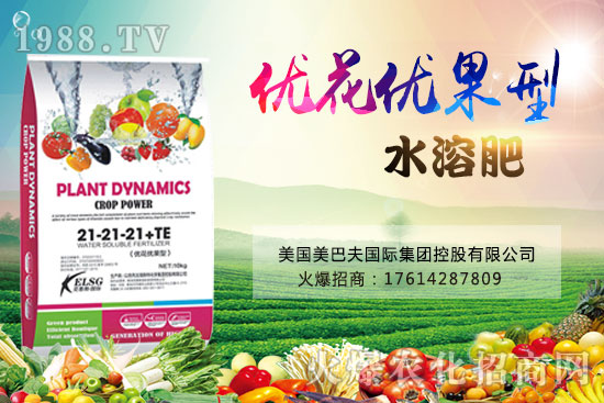 ������С�������������ԇԇ����(y��u)����(y��u)����ˮ�ܷʡ�����ɫ������������