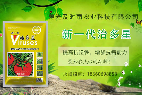 ���Ѳ�������֪���׷N�����Ӻ������η��Ѳ�������(��(n��i)�����η���) 