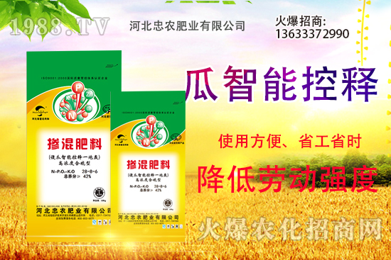 �������������Щ������ʵ�ʹ�÷�����ԓ����xُ��