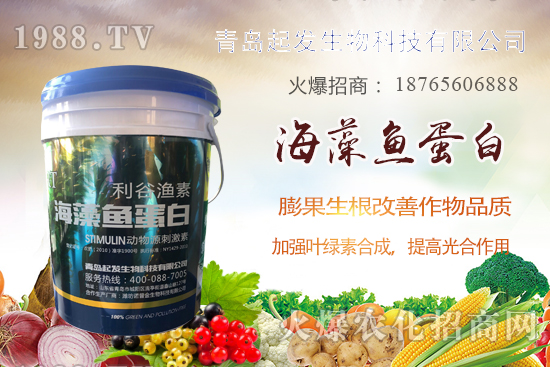 �߲˶�ֲ��ξ���죿�߲������`�^(q��)����Щ���߲�������������]��