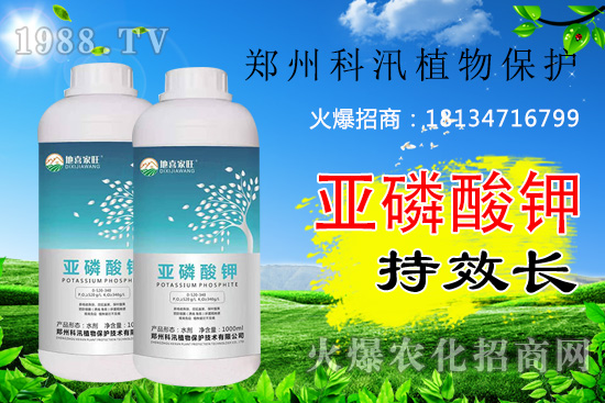 ������⛹�Ч�������C(j��)������Щ������������õĺ���᣿