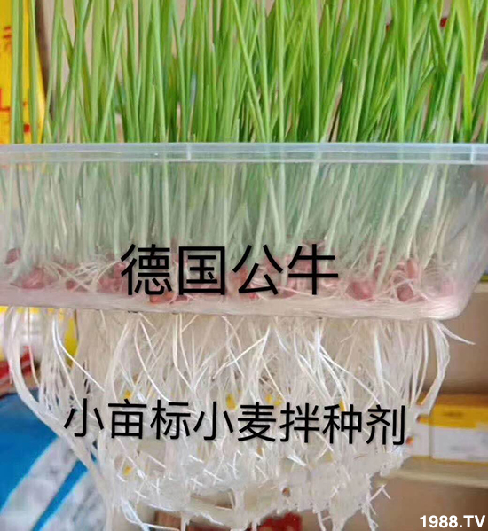 С����N�����a(ch��n)��С����N������x�أ�С����N��Ʒ���x����