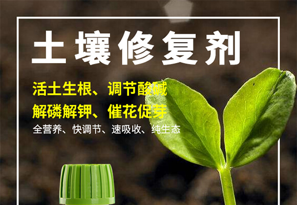 �����ޏ̈́�-����-���r(n��ng)˹�__01