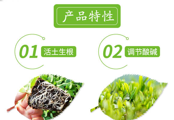 �����ޏ̈́�-����-���r(n��ng)˹�__04