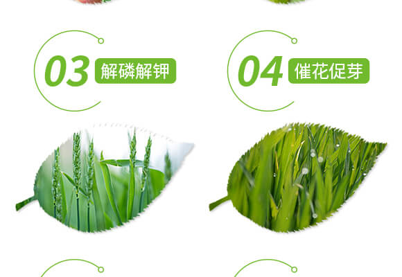 �����ޏ̈́�-����-���r(n��ng)˹�__05