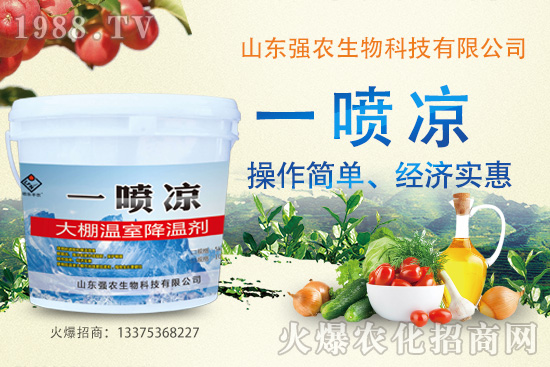 �����x��