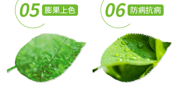 �����ޏ̈́�-����-���r(n��ng)˹�__06