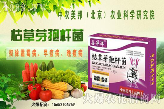 �ݲ�ѿ�ߗU���θ���������������Щ�������������Ό�������Щ��