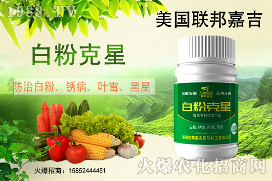 �׷۲����݁��u�����Ͱl(f��)������β���ô������׷۲������]��