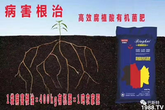     ���׌�Nֲ׃�ø��p����һ��(g��)�ײͣ�ȫ���䷽����˹�ش󽪠I�B(y��ng)�ײͷ�����