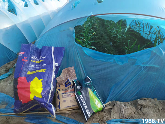     ���׌�Nֲ׃�ø��p����һ��(g��)�ײͣ�ȫ���䷽����˹�ش󽪠I�B(y��ng)�ײͷ�����