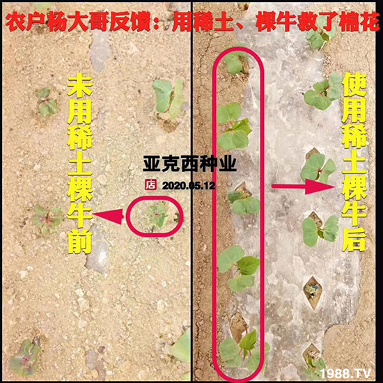     ���׌�Nֲ׃�ø��p�ɣ�һ��(g��)�ײ���ȫ���䷽����˹�ش󽪠I�B(y��ng)�ײͷ�����