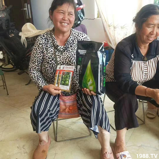     ���׌�Nֲ׃�ø��p����һ��(g��)�ײ���ȫ���䷽����˹�ش󽪠I�B(y��ng)�ײͷ�����