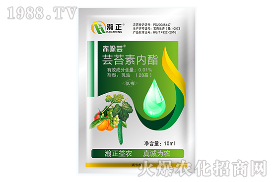 �|̦�؃�(n��i)����ʲô��(y��u)�����|̦�؃�(n��i)�����䷽������Щ��