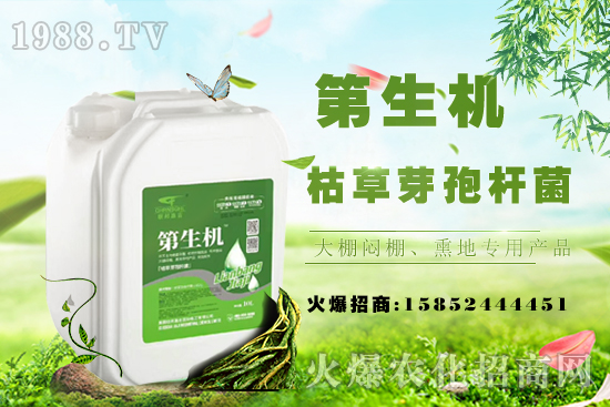 豆角只長(zhǎng)蔓不開(kāi)花啥原因？如何促花促莢提產(chǎn)量？