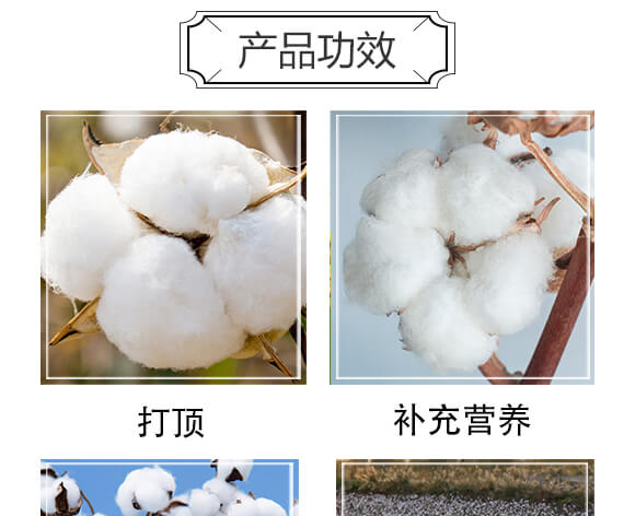 �޻�픲��ǿ؄�-���e��-������_04