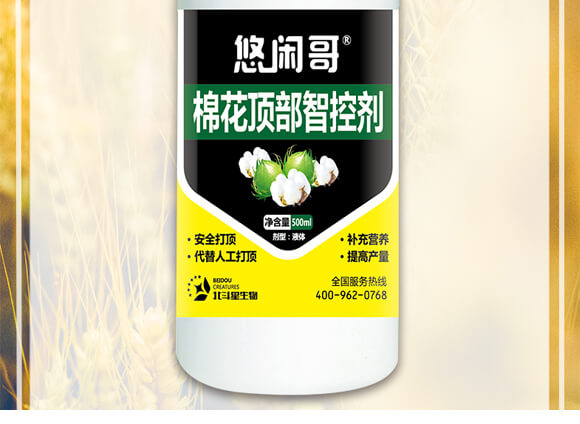 �޻�픲��ǿ؄�-���e��-������_02