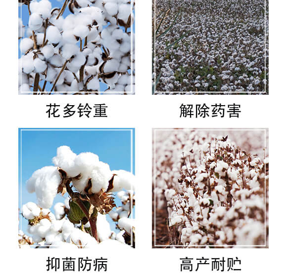 ���Ќ�-������_05