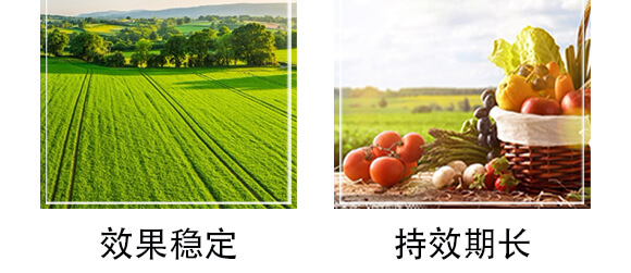 6%�ľ���ȩ��1000�ˣ�-��(zh��n)��-�P�Z����_05