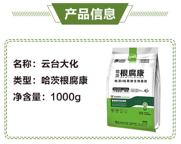 ���ĸ�����-���_(t��i)��_03