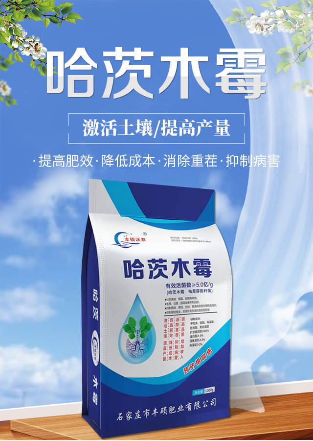 ����ľù-�S�T���r(n��ng)_01