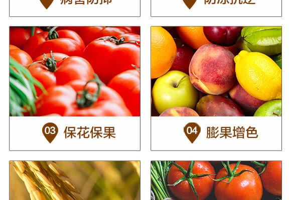 ΢���������500ml��-�ك|�U��-�A�I����_05