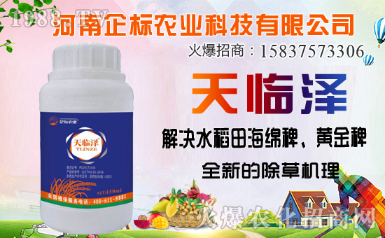 ������������ȷ�������������������݄��Ј�ͻ��20�|��Ԫ