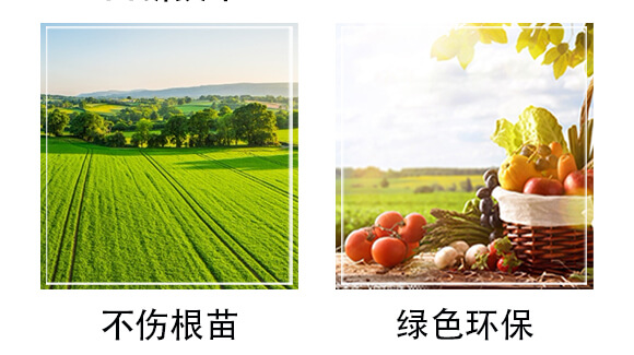 ���Y(ji��)���xˎ�������-���o��-��С��_05