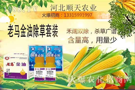 ����������������Ч�ʣ����׳����P(gu��n)�I�c(di��n)��R����