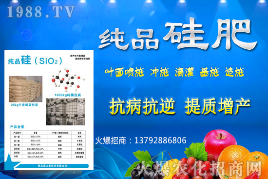 ���׵���