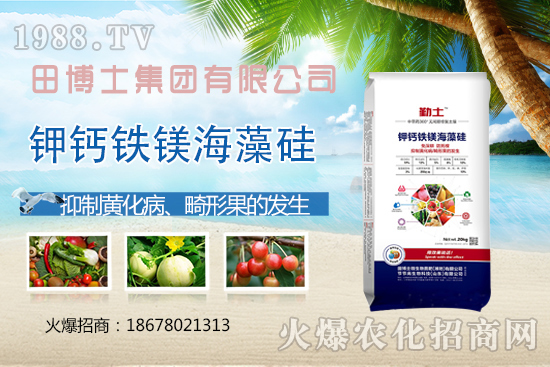 Խ�ķ��ѻ��ι����a(ch��n)���ϲ�ȥ�����η��ѻ��ι����@ЩҪ�I(l��ng)��������