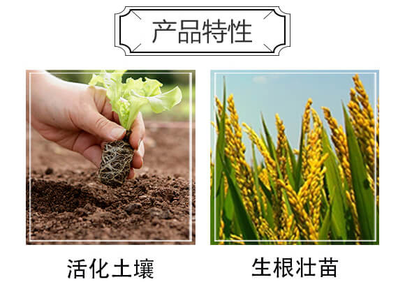 ���ɺ��塤�ЙC����-ِ����_04