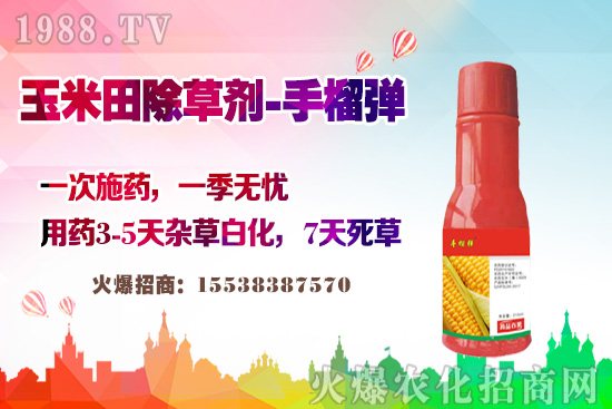 ������������v�������׳��݄��@�Ӵ򣬲��L�s�ݲ�������