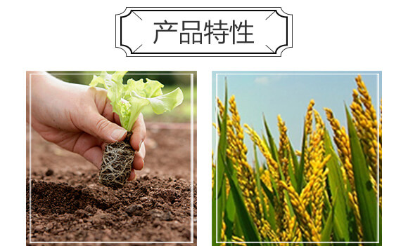 ΢�������-ِ����_04