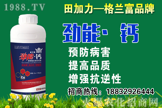 2020���}��ʲô�r��N�����}���NֲҪע����Щ���}��