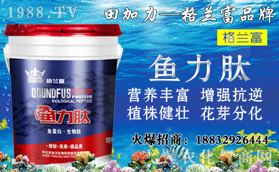 ����(sh��)��(du��)�B(y��ng)���������c(di��n)����Щ������(sh��)ʩ���`�^(q��)�����_ʩ�ʷ�����