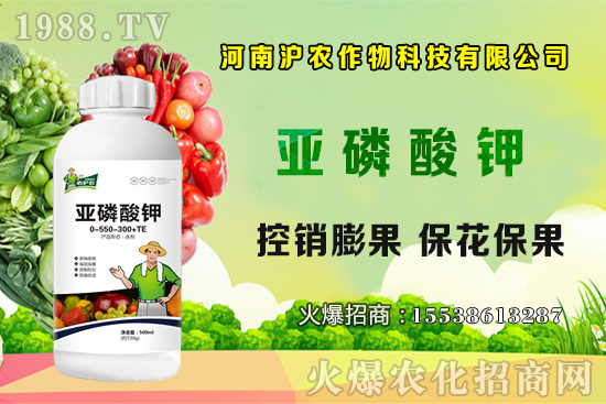 ���[����Ҫ�c(di��n)��֪���������[��Ҋ���x������Щ����η��Σ�