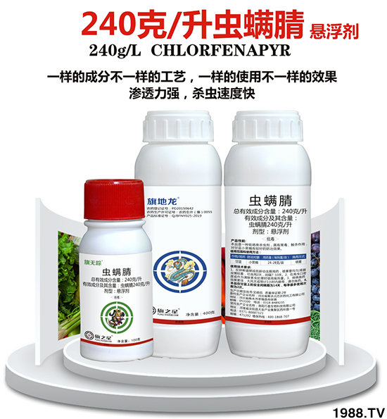 240��ÿ���x����-��o(w��)ۙ-��֮��