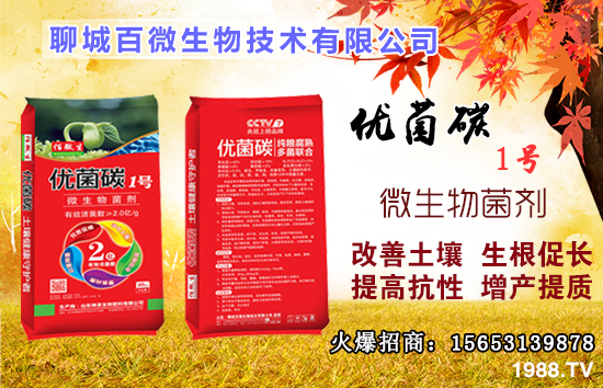 ��Ԫ����ʲô����������ȱ����ʲô�����ʲô�r���a����