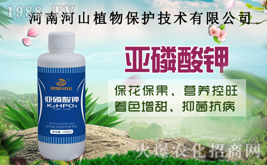 小麥政策加碼!扎堆賣糧!2020年8月14日小麥價格行情!