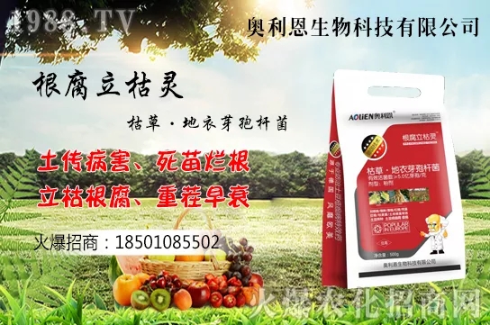 �S����ʲô����(ji��)�������S���˷Nֲ������B��