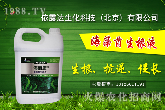 �J��������ЩƷ�N���J���Һ��殐����ʲô�^(q��)�e��