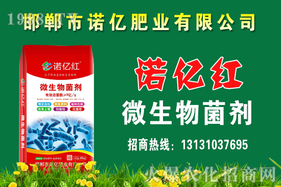 ������ʵķN�����Щ����������c��Щ���ϴ�nЧ������